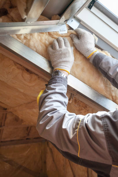 Best Insulation Repair Services  in Sayville, NY