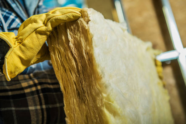 Best Insulation Inspection Services  in Sayville, NY