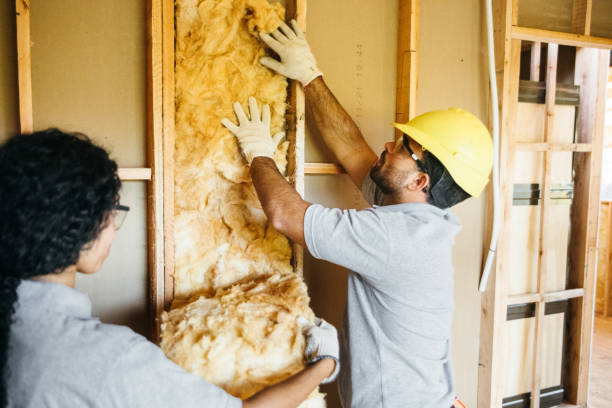 Best Cellulose Insulation  in Sayville, NY