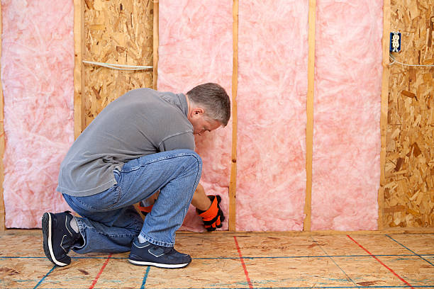 Best Local Insulation Services  in Sayville, NY